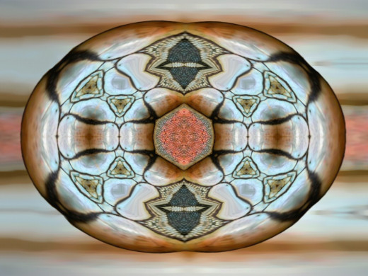 8024 (a): :1024x768